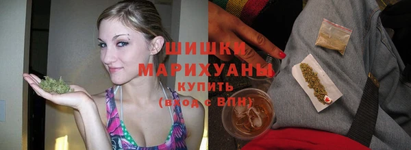 шишки Лихославль