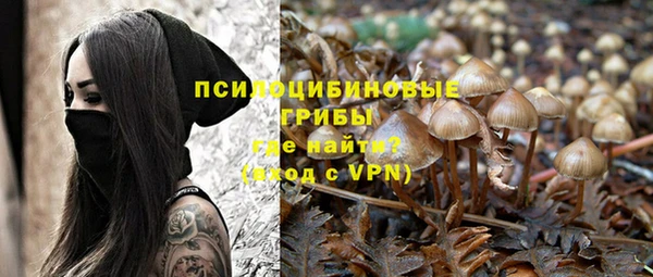 крисы Липки