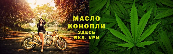 крисы Липки