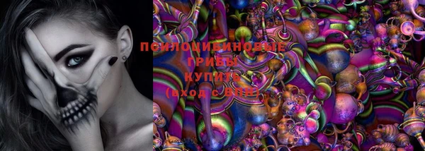 шишки Лихославль