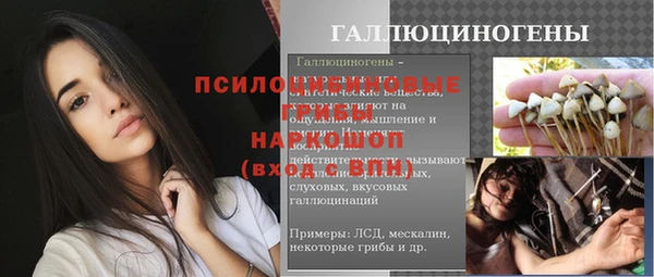 крисы Липки