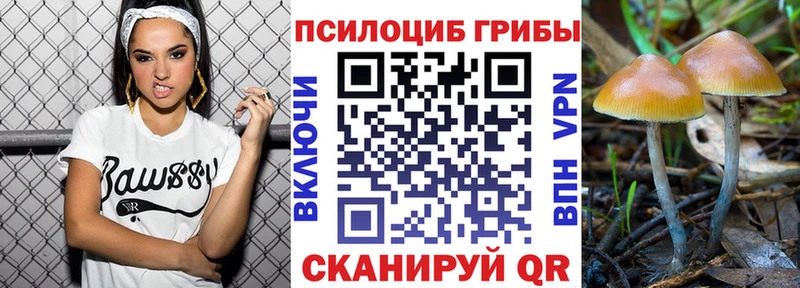 Галлюциногенные грибы MAGIC MUSHROOMS  Купить закладки  Балашов 